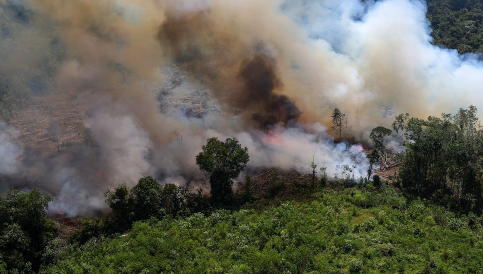 Foto udara asap membumbung tinggi dari kebakaran hutan dan lahan gambut di Kabupaten Ketapang, Kalimantan Barat, Jumat (31/7/2026). [ANTARA FOTO/Jessica Wuysang/YU]