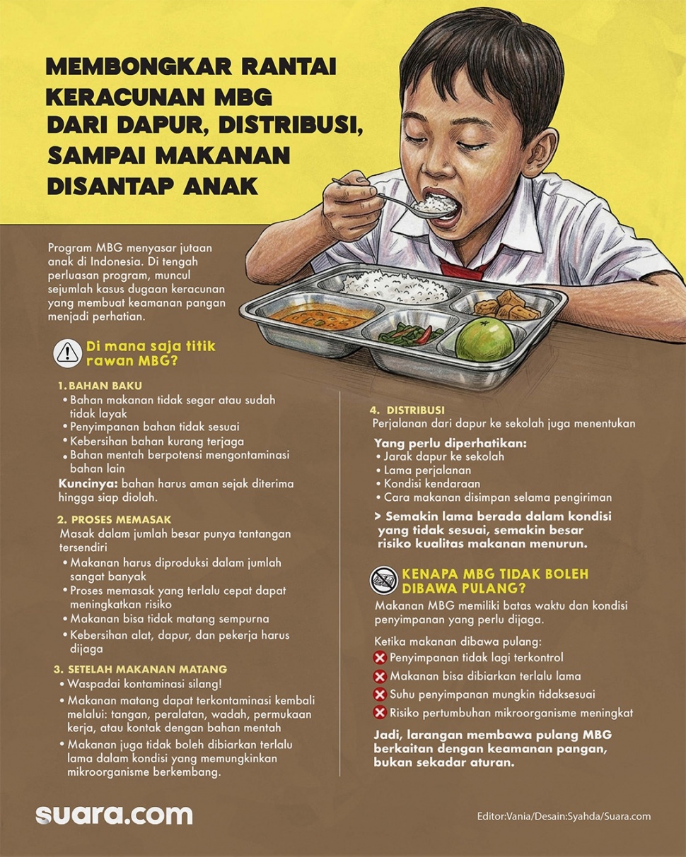 Infografis rantai keracunan MBG. (Suara.com/Syahda)