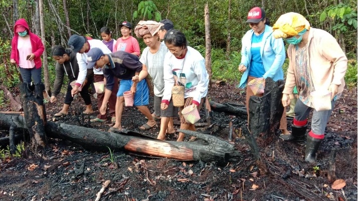 Pembakaran lahan yang dilakukan oleh Masyarakat Adat Dayak Maayan, Barito Timur, Kalimantan Tengah (dok. Aliansi Masyarakat Adat Nusantara)