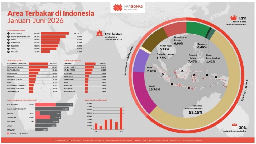 Area Terbakar di Indonesia Januari-Juni 2026. (Dok. Map Biomas Indonesia)