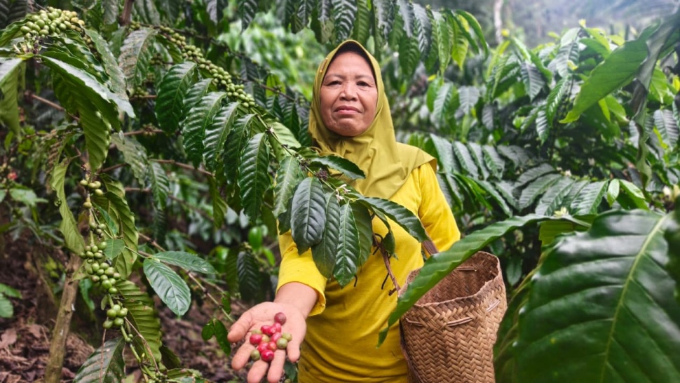 Nusiawati, Para Penjaga Lemo Nakai: Mencari Penghidupan Tanpa Mengorbankan Hutan. (Suara.com/Bimo Aria Fundrika)