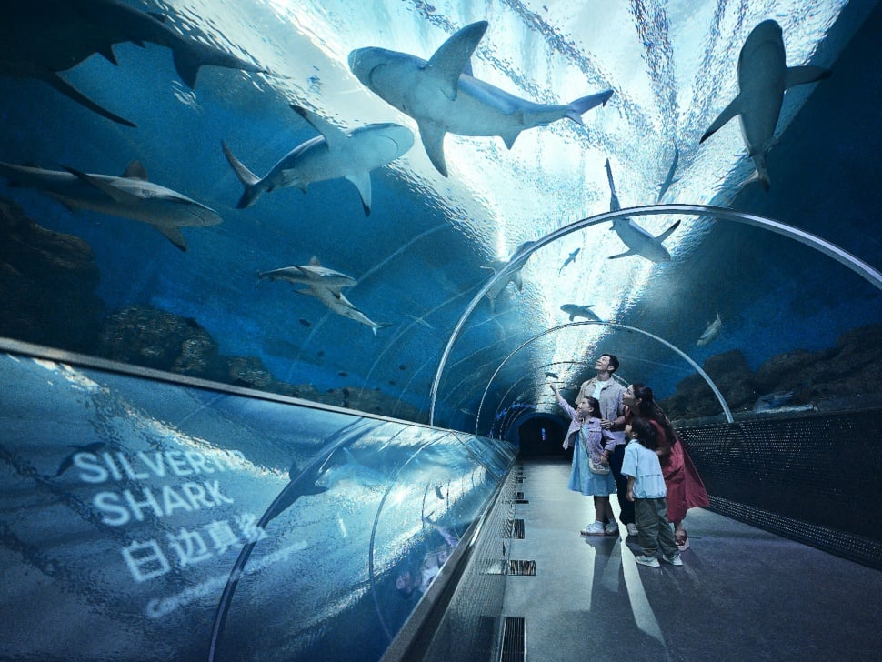 Singapore Oceanarium’s Shark Seas Tunnel. (Dok. RWS)