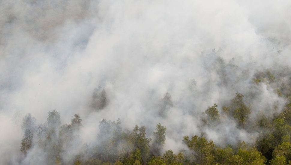 Foto udara asap mengepul dari kebakaran hutan di Pusat Konservasi Gajah (PKG) Jalur 21 Padang Sugihan, Kabupaten Banyuasin, Sumatera Selatan, Kamis (17/9/2026). [ANTARA FOTO/Nova Wahyudi/kye]