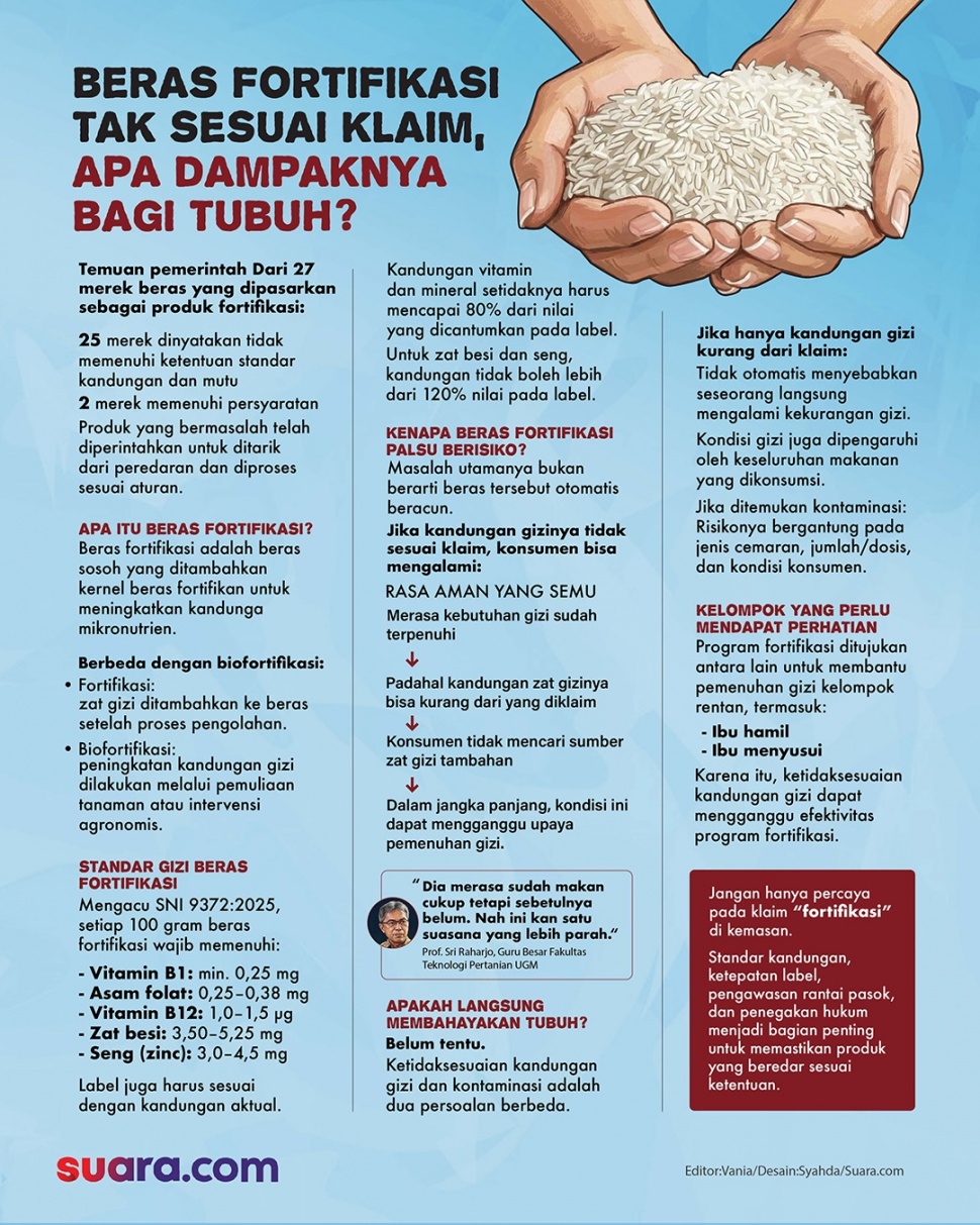 Infografis beras fortifikasi. (Suara.com/Syahda)
