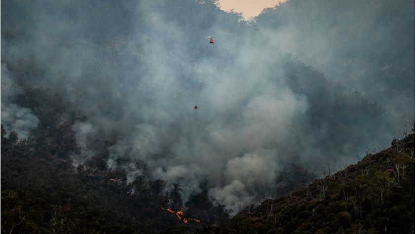 Ilustrasi kabut asap (Unsplash/mattpalmer)