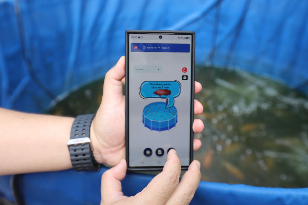 Aplikasi digital PNM Fish Care. (Dok: PNM)