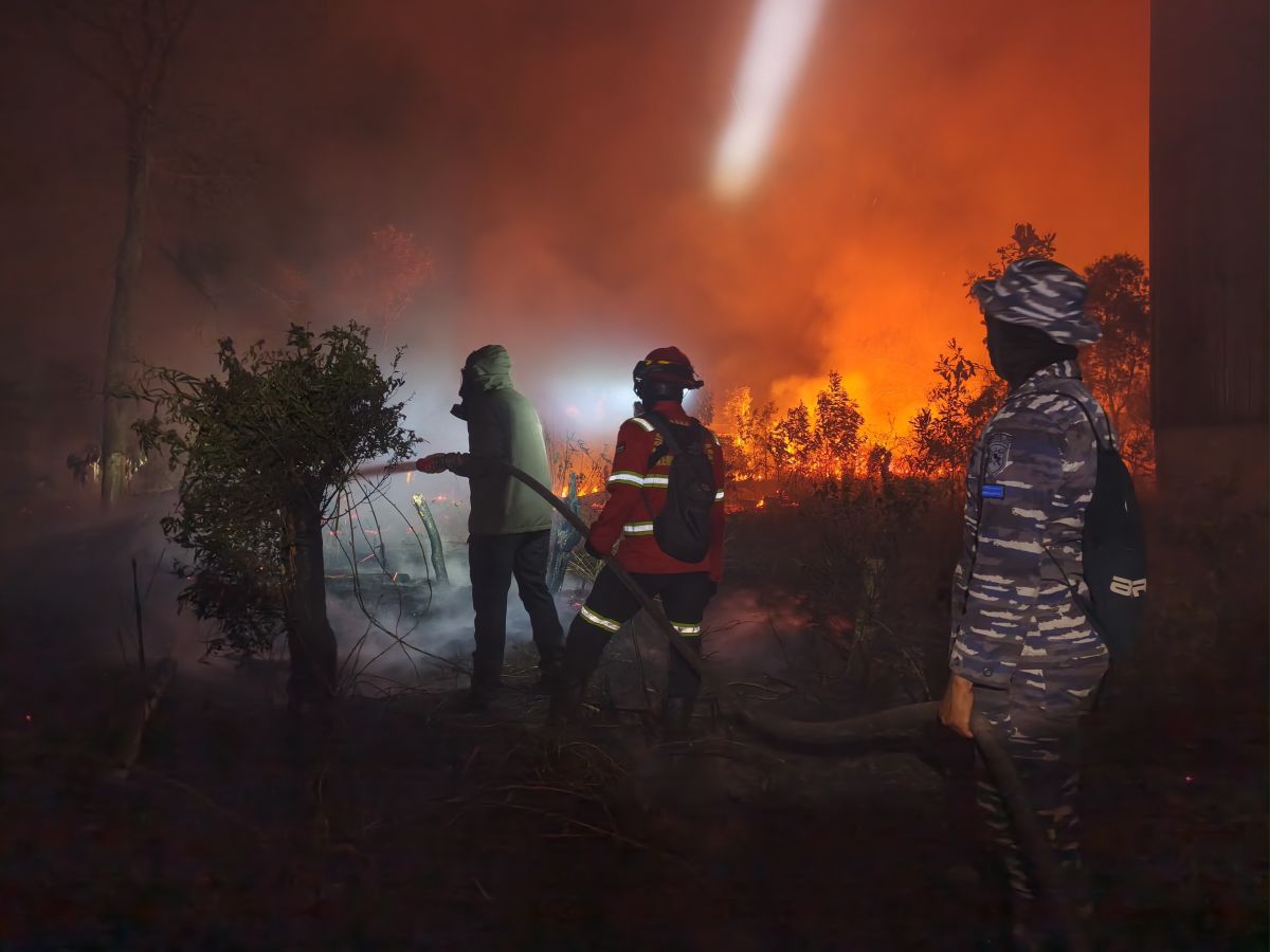 Kerugian Karhutla Bisa Capai Ratusan Triliun, Pakar Ingatkan Dampaknya Berlangsung Puluhan Tahun