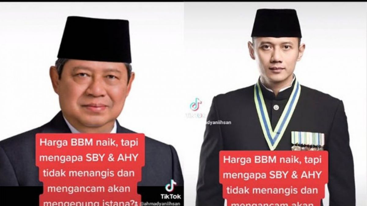 SBY dan AHY [TikTok]