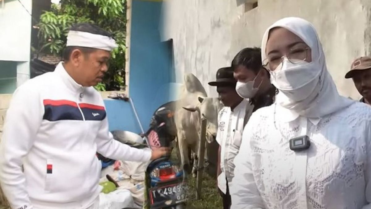 Kolase foto kegiatan Dedi Mulyadi dan Anne Ratna Mustika. [YouTube Dedi Mulyad dan Anne Ratna]