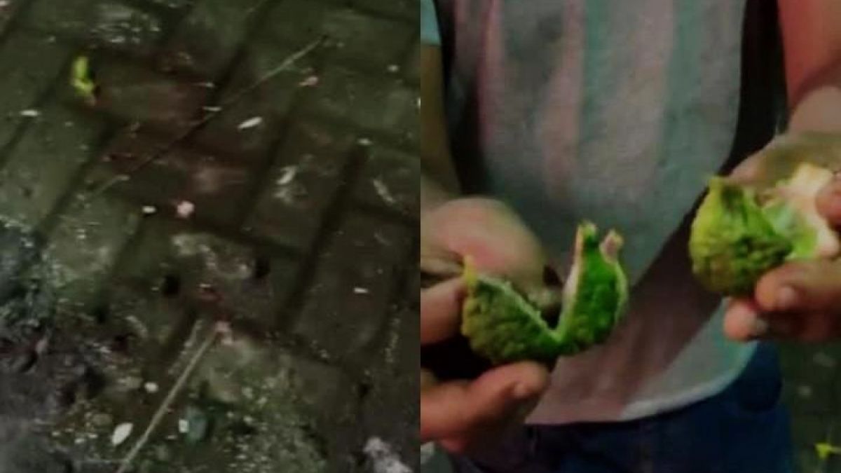 Penampakan benda tak biasa berupa jeruk purut, besi panjang dan kembang setaman di halaman rumah korban penganiayaan oleh anak AKBP Achiruddin, Aditya Hasibuan. Direkam oleh kakak Ken Admiral [Instagram/ @dindaaafay]