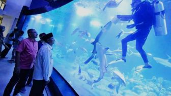 Tak Perlu Keluar Negeri, Kini Pangandaran Punya Aquarium Raksasa lho, Cek Harga Tiketnya