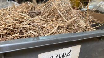 Masih Eksis Hingga Dua Abad Berdiri dan Masuk Generasi ke Lima, Ternyata Ini Sejarah Nama Toko Jamu Babah Kuya di Kota Bandung