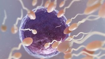 Waspada! 5 Kebiasaan Sepele Ini Bisa Memperburuk Kualitas Sperma pada Pria