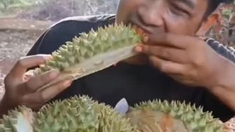 VIRAL! Kulit Durian Dimakan dengan Sambal, Warganet: Otak Waras