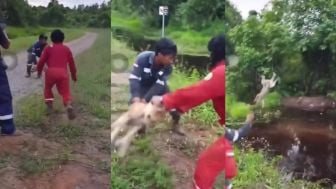 Viral Seekor Anjing Jadi Umpan Buaya, Doni Herdaru Gerak Cepat Laporkan Tersangka