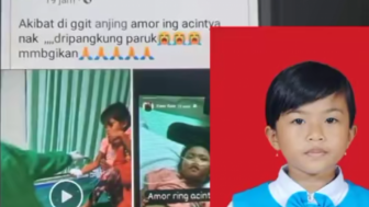 Innalillahi, Viral Video Anak Digigit Anjing Rabies hingga Meninggal, Gejala Tahap Akhir Takut Air? Simak Fakta Selengkapnya di Bawah Ini