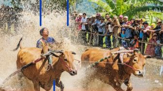 Super Unik! Inilah Beragam Atraksi Olahraga Khas Berbagai Daerah di Indonesia