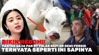 Cek Fakta: Pantas Saja Pak RT Tak Terima Hewan Kurban Dewi Perssik, Ternyata Seperti Ini Sapinya