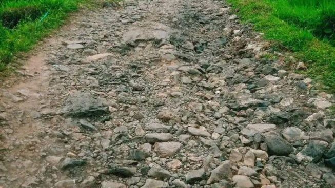 Pemudik Curhat Jalan Butut di Garut Bak Susukan