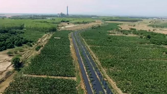 Ponpes Al Zaytun Miliki Kebun Pisang Cukup Luas, Tenaga Kerja di Sana Blak-blakan Bilang Begini