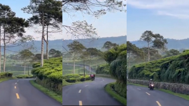 Begini Suasana Ciwidey Bandung di Pagi Hari, Bikin Warganet Nostalgia dengan Lagu My Heart