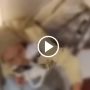 Viral Video Mahasiswi Lagi Main di Ranjang Tersebar, hingga Link Download Yandex dan Rekamannya Dicari Netizen