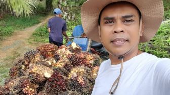 Luar Biasa Pekebun di Kaltim Jadi Petani Paling Sejahtera, Ini Buktinya