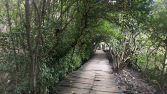 Hutan Keramat Dekat Kota Bandung Ini, Larang Masuk Orang Berbaju Merah