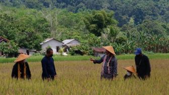 PT.Jaminan Kredit Indonesia Dukung Ketahanan Pangan, Siap Salurkan Kredit ke UMKM Sektor Pertanian