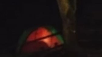 Viral ! Tenda Bergoyang di Gunung Salak Bogor Diduga Pasangan Muda Mudi Sedang Berhubungan Intim