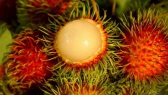 5 Manfaat Buah Rambutan Bagi Kesehatan: Bisa untuk Turunkan Berat Badan?