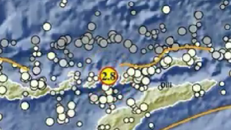 INFO GEMPA TERKINI: Nusa Tenggara Timur Diguncang Gempa Magnitudo 2.8