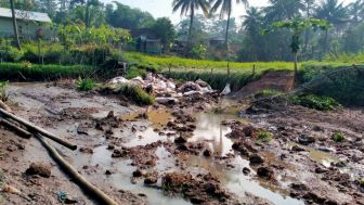 Disapu Banjir Bandang, Sawah 2 Hektar dan Kolam Ikan Milik Warga Cipatat Bandung Barat Hancur