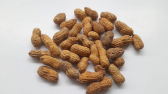 Manfaat Mengkonsumsi Kacang di Antaranya Bisa Menurunkan Berat Badan