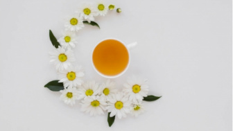 Deretan Tanaman Hias Bunga Mengeluarkan Aroma Harum yang Semerbak, Bisa Bikin Rileks