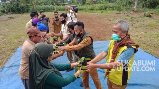 Dinilai Minim Kompetitor, Emas Hijau Ini Mulai Banyak Dilirik Petani