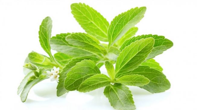 Ini Dia 5 Pengganti Gula Putih, Ada Tanaman Stevia, Bikin Tubuh Lebih Sehat