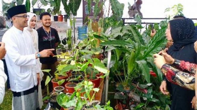 Tanaman Hias Asal Bandung Barat Tembus Pasar Internasional
