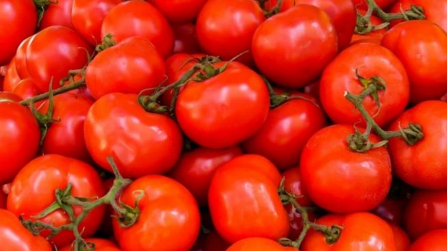 Catat Bunda, Cara Konsumsi Tomat untuk Kecantikan: Ini Manfaat Tomat untuk Wajah dan Lawan Jerawat