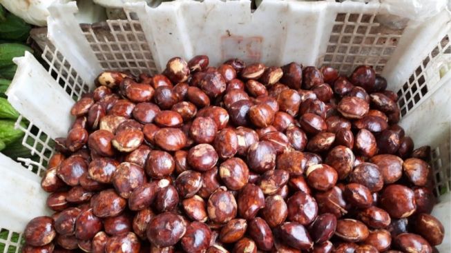 Manfaat Jengkol untuk Kesehatan: Waduh Ternyata Banyak Juga Ya, Udah Tahu Belum?
