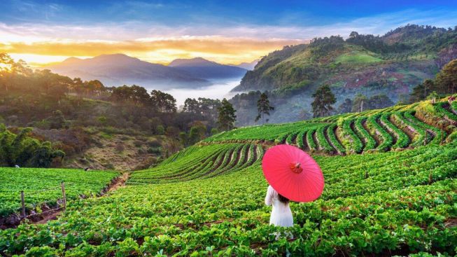 5 Rekomendasi Wisata Favorit Kabupaten Bandung, Tenangkan Pikiran Sembari Menghirup Udara Yang Sejuk