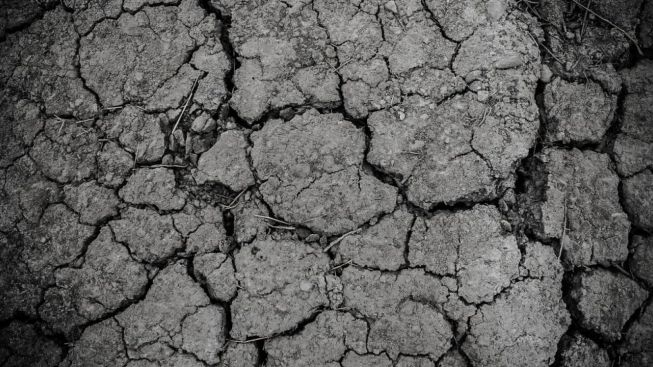 El Nino Ancam Wilayah Bandung Raya, BMKG Sebut Diperkirakan Lebih Kering dari Biasanya