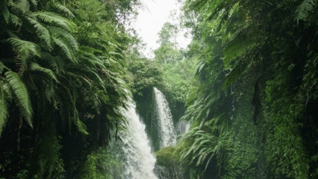 5 Rekomendasi Curug Hits di Bandung Barat, Ini Harga Tiket Masuk dan Lokasinya