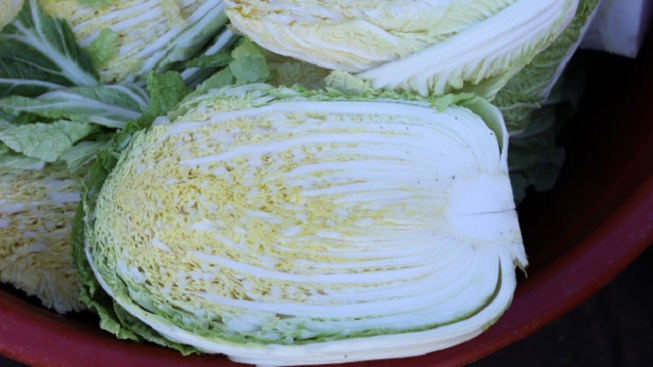 Bisa Menjaga Kesehatan Ginjal, Ini Manfaat Konsumsi Sayur Sawi Putih