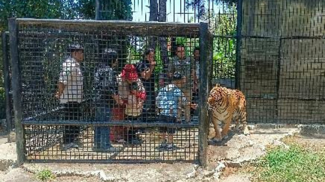 Lembang Park Zoo di Bandung Barat Bakal Tambah Koleksi Satwa