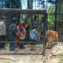 Lembang Park Zoo di Bandung Barat Bakal Tambah Koleksi Satwa