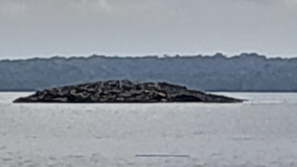 Mengenal Mud Volcano dan Dampaknya, Fenomena Pulau Baru Pasca Gempa 7.9 M di Maluku