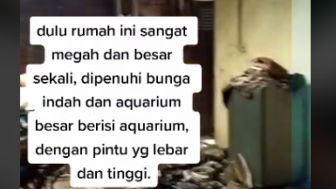 Sosok Dan Profil Dokter Wayan, Tinggal di Rumah Mewah Penuh Sampah Dan Sarang Ular