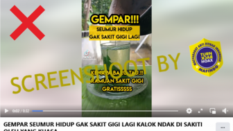 CEK FAKTA: Ramuan Seumur Hidup Agar Tidak Sakit Gigi Lagi