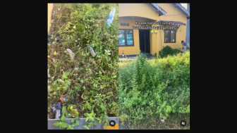 Ditinggal Pengontrak, Pemilik Rumah Kaget Lihat Halaman Dipenuhi Rumput Liar